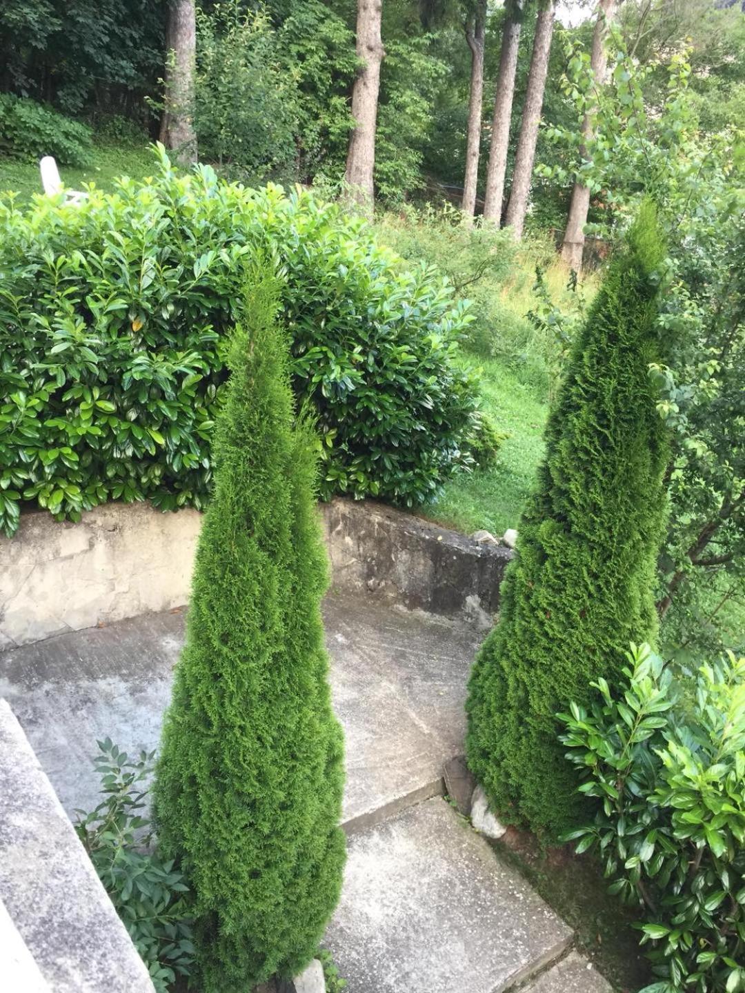 Il Piccolo Castello Busteni Luaran gambar