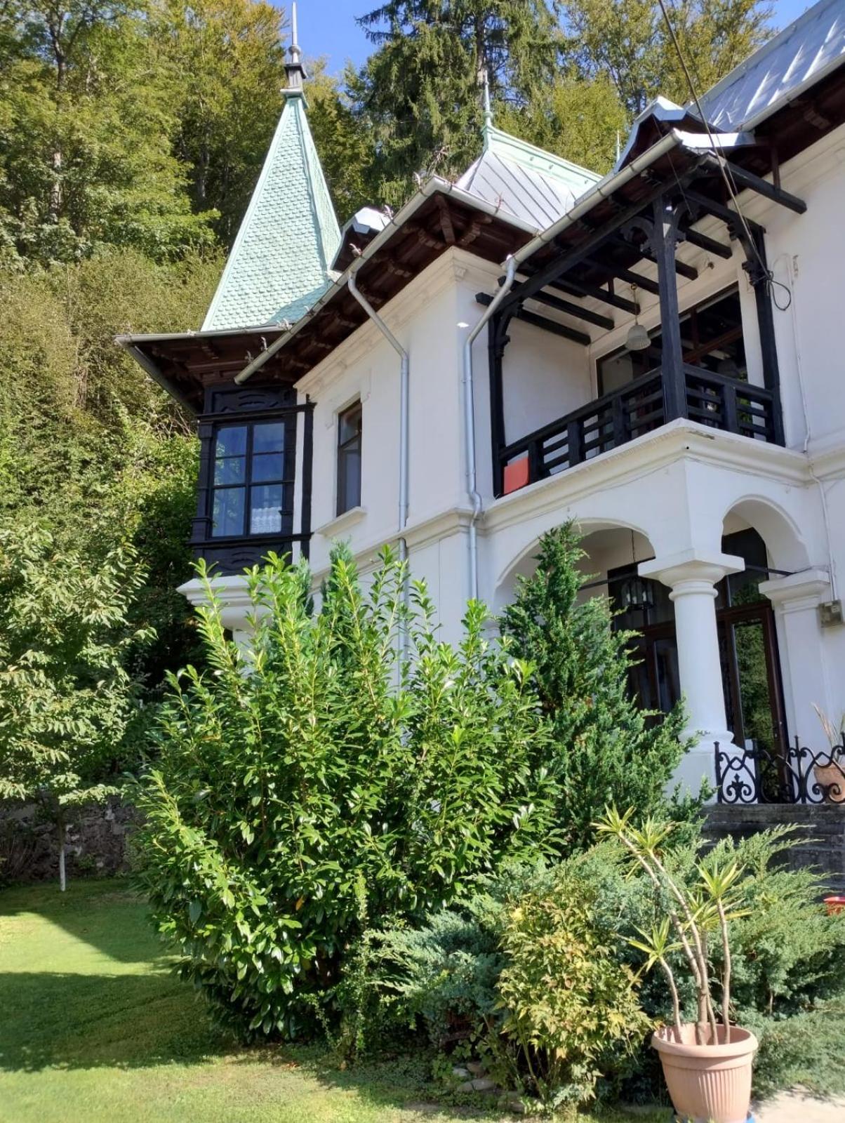 Il Piccolo Castello Busteni Luaran gambar